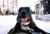 Ineligible entries - Gourmet food contest - last post by yellorose