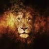 leonel619
